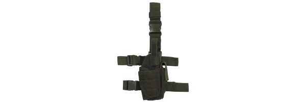 Beinholster