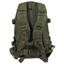 Rucksack, "Aktion", oliv