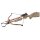 Recurve Armbrust CREEK I 150 lbs