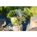 Blumenampel "Mareta" 25 cm grün mit Kette