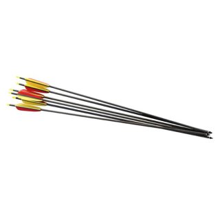 6 x Carbon Pfeile 30 Black