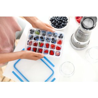 CLIP & CLOSE Eiswürfelbox mit Frischedeckel