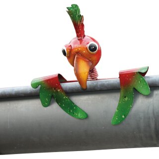 Vogel "Zaungucker"
