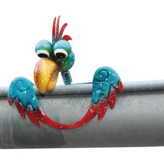 Vogel "Zaungucker"